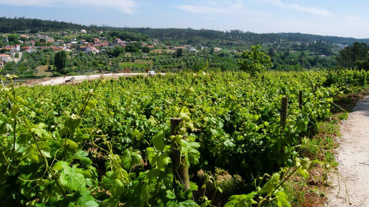 Quinta Da Serrana Ourém Zewnętrze zdjęcie